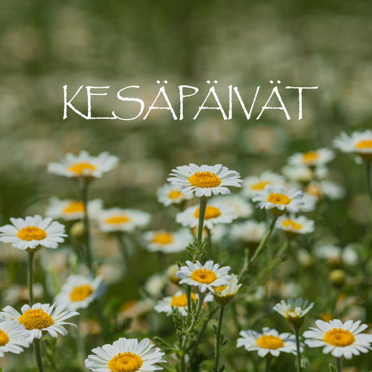 PARTAHARJU 16.-17.08.2025 KESÄPÄIVÄT